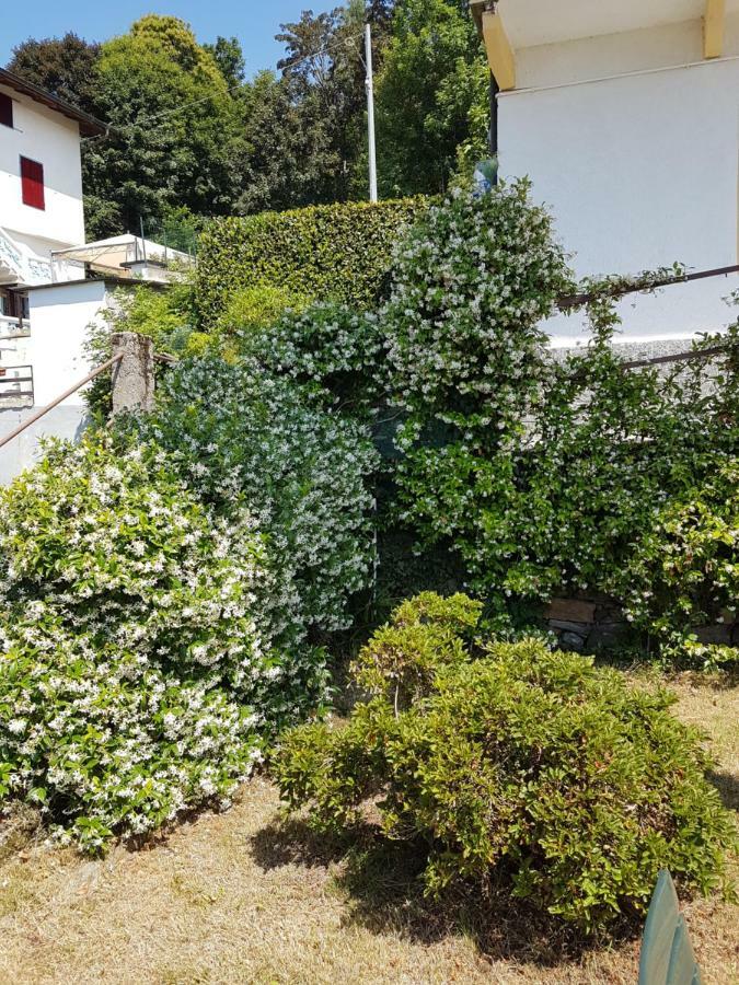 La Palma Villa Miazzina Exteriör bild